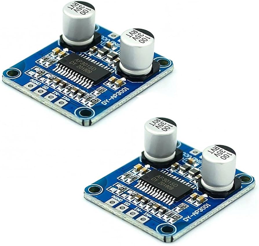 DY-AP3001 30W Mono Amplifier Module